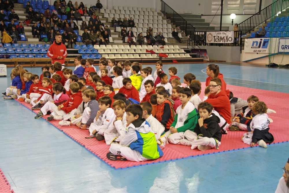 Taekwondo Dic 2016 (225).jpg